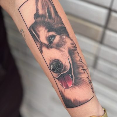Tatuaje realista de un perro en el antebrazo, mostrando su rostro sonriente y expresivo, sobre un fondo neutro.